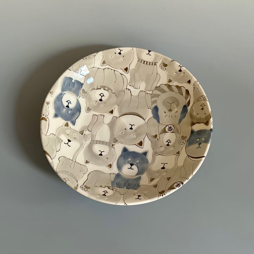 dog bowl plate
